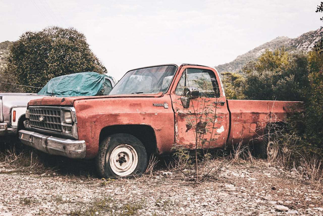 Explore the charm of a rustic, abandoned Chevrolet pickup amidst an overgrown outdoor backdrop.