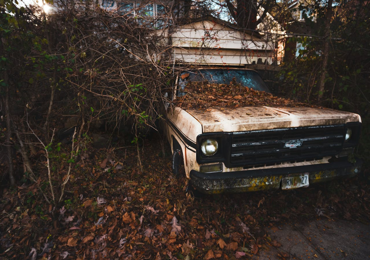 An old, rustic truck overgrown with leaves and foliage in an outdoor setting.