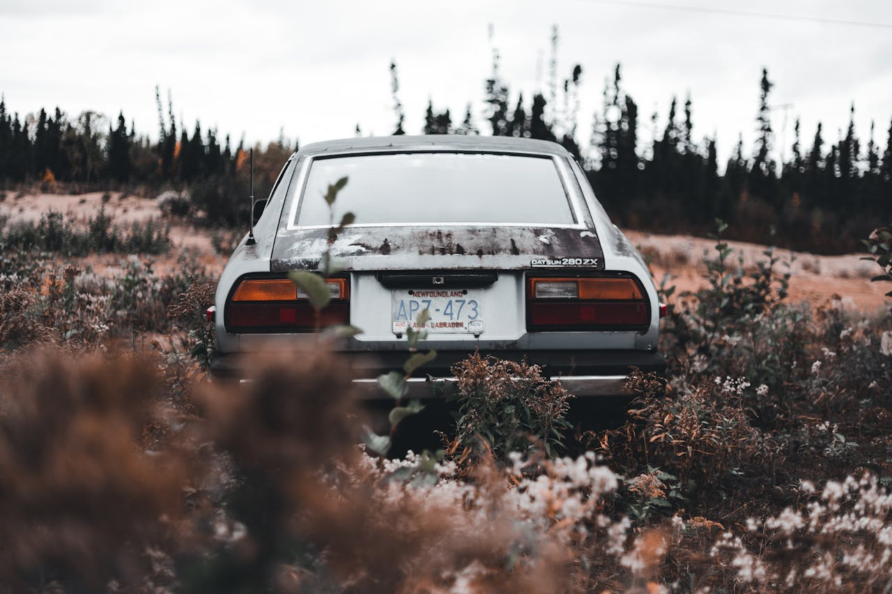 Rear view of an abandoned Datsun 280ZX overgrown by nature in a rural setting.